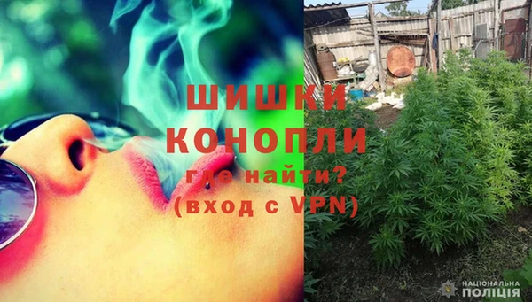 ПСИЛОЦИБИНОВЫЕ ГРИБЫ Волоколамск