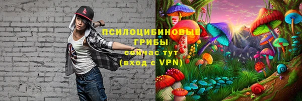 эйфоретик Володарск