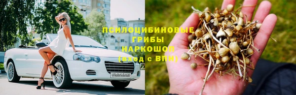 дурь Волосово